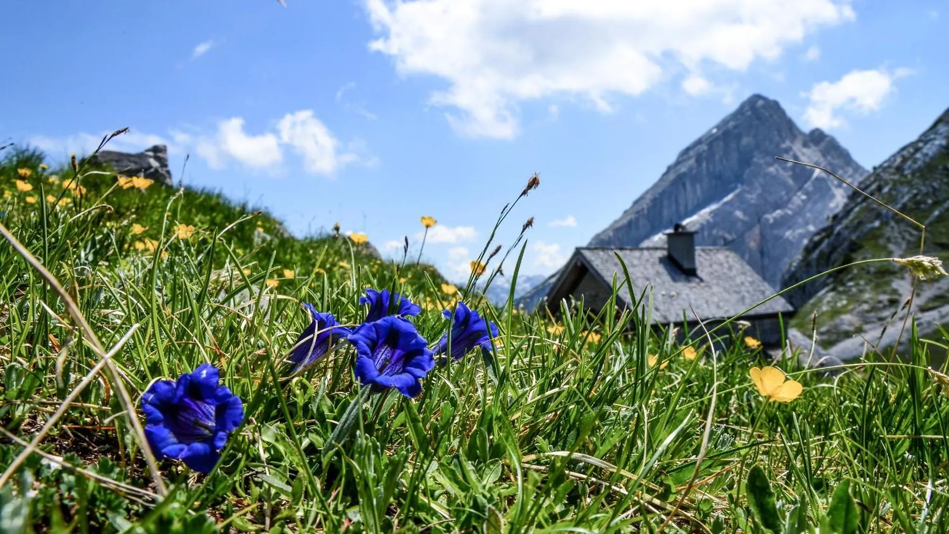 Hotel Haus Berggesundzeit Doppelzimmer Watzmannhaus Schönau am Königssee